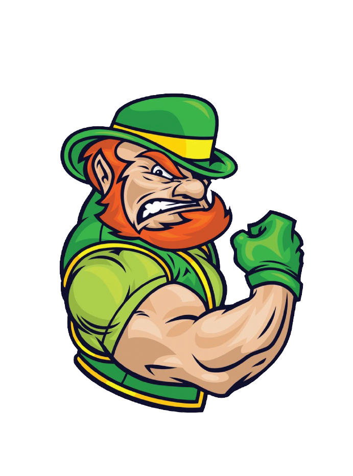 Dublin's Irish Whiskey Pub logo